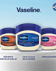 Vaseline Baby Moisturizing Jelly - Hypoallergenic, 24-Hour Hydration for Dry Skin - Dermatologist-Recommended Vaseline Baby Jelly - 24hr Hydration Vaseline Baby Moisturizing Jelly, hypoallergenic moisturizer, dermatologist-recommended moisturizer, non-comedogenic moisturizer, long-lasting hydration for dry skin, baby care, skin care, moisturizing jelly, dry skin relief, sensitive skin solutions