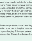 Mushroom Complex 10 X