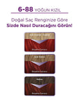 Palette Hair Dye - Vibrant, Nourishing, and Long-Lasting Color for Intense Shine - view 4
