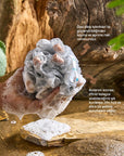 Balmy: All-In-One Woody Scented Soap Infused Bath Sponge for Men - Exfoliating, Convenient, Travel-Friendly Body Scrubber Balmy: Men's Soap Infused Sponge - All-In-One Bath & Body Scrubber soap infused sponge, men's bath sponge, all in one bath sponge, exfoliating bath sponge for men, woody scented bath sponge, convenient bath sponge, travel soap sponge, men's grooming, body scrubber for men, bath sponge, soap sponge, men's bath, exfoliating sponge, woody scent, travel soap, men's skincare, body scrubber, b