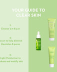 Lumene Sebum Balancing Clay-Based Foaming Facial Cleanser for Oily & Blemished Skin - Paraben-Free, pH Balanced - 4.23 f