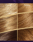 Wella Koleston Supreme 7/3 Hazelnut Hair Dye: 100% Gray Coverage, Rich Color & Conditioning, Permanent At-Home Hair Color Kit Wella Koleston Hazelnut Hair Dye: Gray Coverage & Rich Color hair dye, hair color, at home hair color, gray coverage hair dye, Wella Koleston, hazelnut hair dye, permanent hair color, hair color kit, hair coloring, hair dye with conditioner, hair coloring, hair dye, grey coverage, hair conditioning, hazelnut hair, 7/3 hair color, rich hair color, vibrant hair, easy hair dye, do it yo