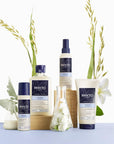Phyto Softness Hair Conditioner for All Hair Types - 5.91 fl oz Nourishing Daily Hair Care