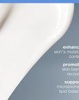 Dermalogica Intensive Moisture Balance Moisturizer for Dry Skin - Natural Skincare with Hyaluronic Acid & Prebiotic Comp
