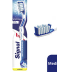 Signal White Now Toothbrush, 1+1 Free Medium Bristle Oral Hygiene for Whiter Teeth - Signal