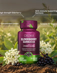 Orzax Immune Support Dietary Supplement Syrup - Sambucus Nigra, Vitamin C, Zinc for Kids & Adults