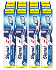 Signal White Now Toothbrush, 1+1 Free Medium Bristle Oral Hygiene for Whiter Teeth - Signal