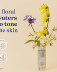Embryolisse Eau De Beaute Rosamelis Tonifying Toner - Hydrating Skincare for Revitalized Skin