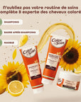 Color&Soin Ammonia-Free Hair Dye 4B Brownie Chestnut - Natural, Permanent Hair Color with Herbal Extracts