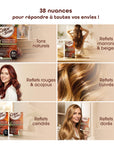 Color&Soin Ammonia-Free Hair Dye 4B Brownie Chestnut - Natural, Permanent Hair Color with Herbal Extracts