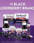 Sambucol Black Elderberry Syrup for Immune System Support - 4.06 fl oz