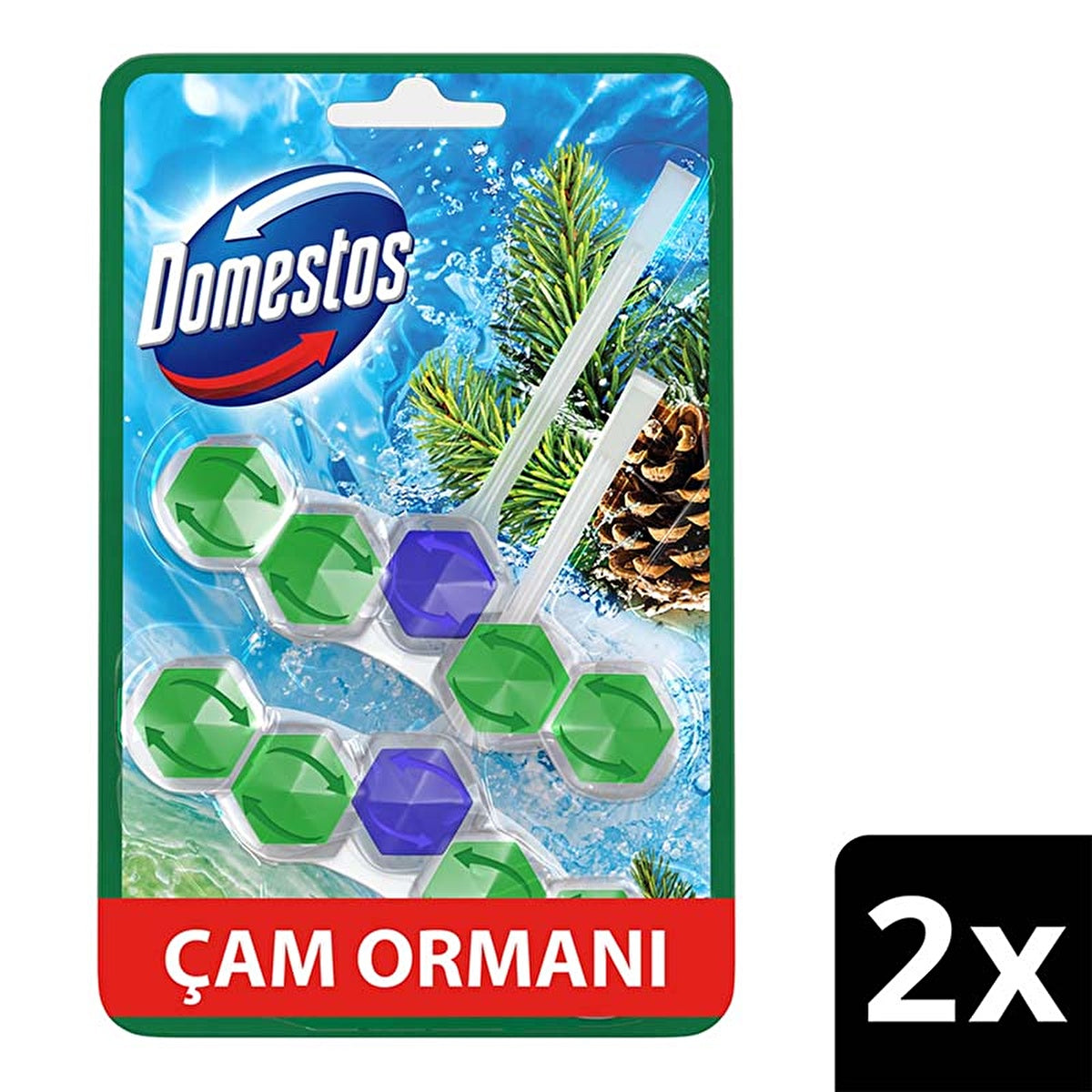 Domestos Toilet Block Pine Forest 100g - Maximum Freshness and Hygiene - Image