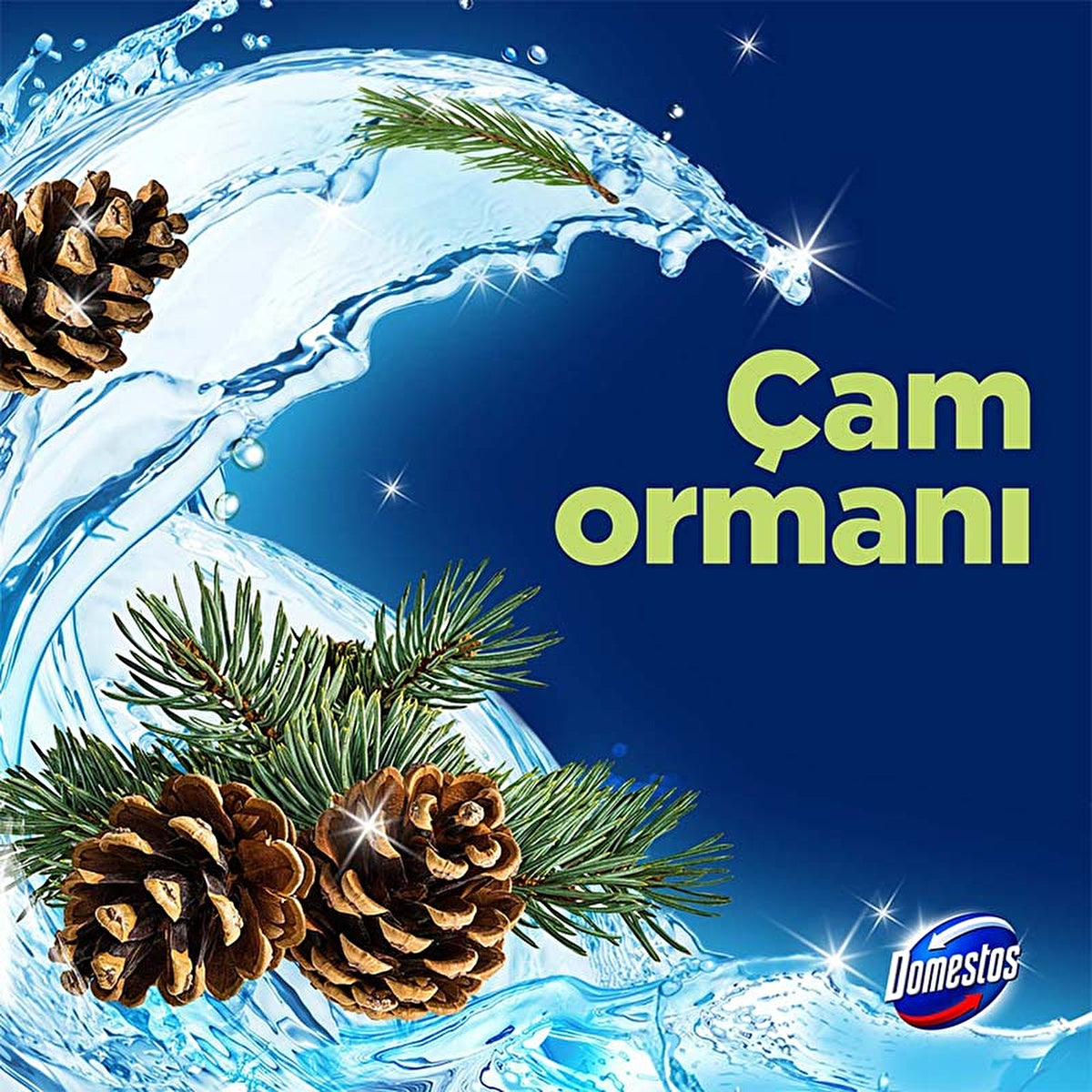 Domestos Toilet Block Pine Forest 100g - Maximum Freshness and Hygiene - Image
