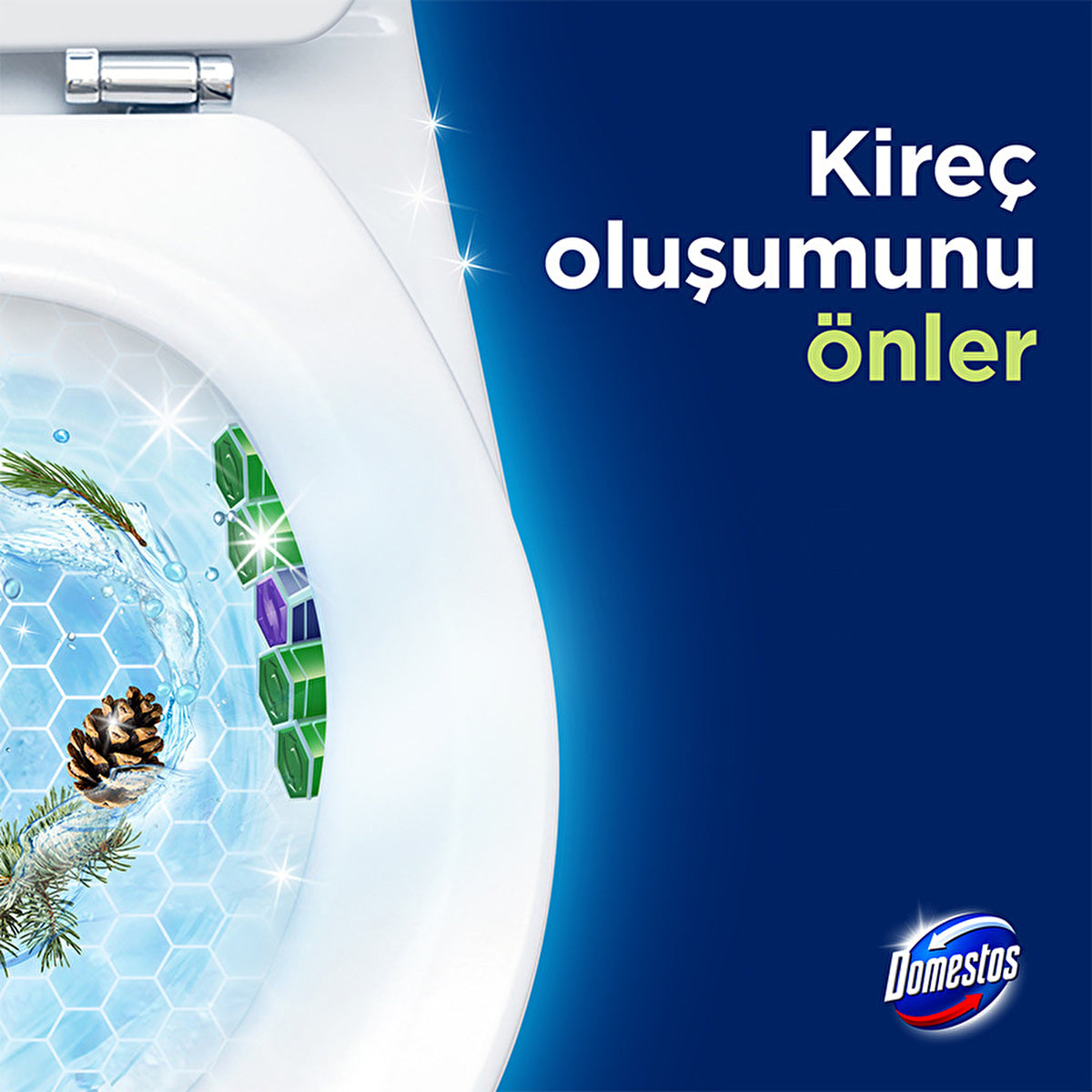 Domestos Toilet Block Pine Forest 100g - Maximum Freshness and Hygiene - Image