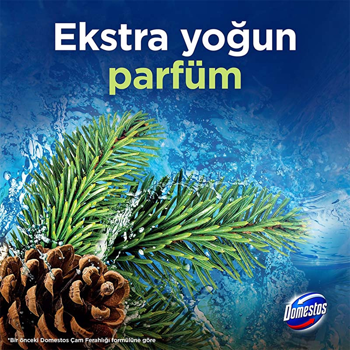 Domestos Toilet Block Pine Forest 100g - Maximum Freshness and Hygiene - Image