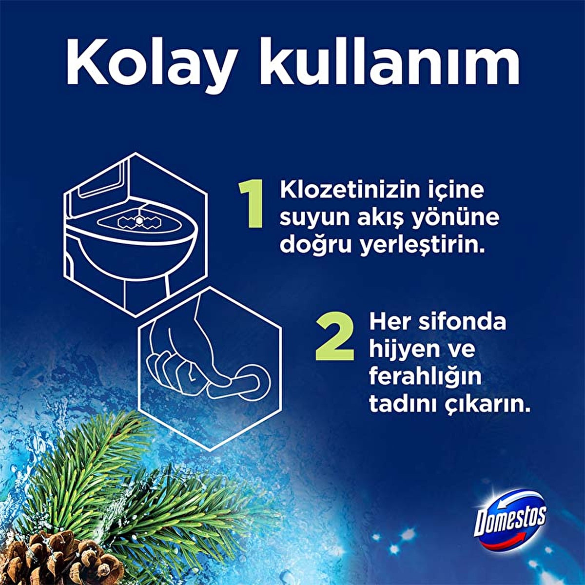 Domestos Toilet Block Pine Forest 100g - Maximum Freshness and Hygiene - Image