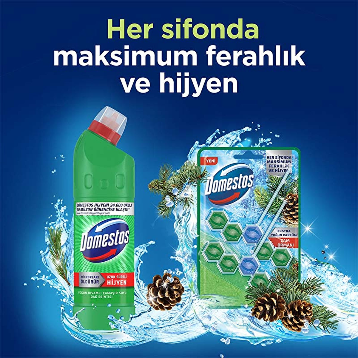 Domestos Toilet Block Pine Forest 100g - Maximum Freshness and Hygiene - Image