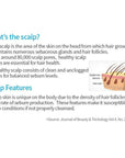 Atomy Scalpcare Hair Care Set (2pc) - Shampoo, Conditioner - view 3