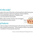Atomy Scalpcare Hair Care Set (2pc) - Shampoo, Conditioner