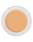 Kryolan Digital Complexion Cream Foundation O17 12g