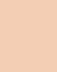 Stellary Skin Privilege Foundation 01 Ivory 30ml