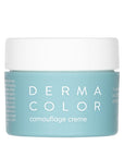 Kryolan Dermacolor Camouflage Cream D2 4g