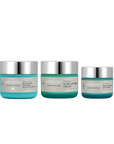 Artistry Skin Nutrition Firming Moisturizer Bundle