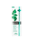 Dentiste Natural White Toothpaste for a Brighter Smile - 100g, Natural Ingredients, Whitening Properties - image 2