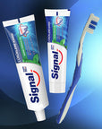 Signal Anti-Cavity Toothpaste with Pro-Fluoride Complex & Long-Lasting Freshness - 3.38 fl oz Signal Anti-Cavity Toothpaste with Pro-Fluoride Complex Signal Toothpaste, Anti-Cavity Toothpaste, Mint Flavor Toothpaste, Toothpaste with Pro-Fluoride Complex, Long-Lasting Freshness Toothpaste, Oral Care, Dental Hygiene, Tooth Decay Prevention, Cavity Protection, Fresh Breath, Healthy Gums, Strong Teeth
