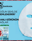 Garnier Moisturizing Face Mask with Pomegranate Extract & Hyaluronic Acid for Normal to Dry Skin - Intensive Hydration & Radiant Skin Garnier Moisturizing Face Mask - Hydrate & Radiate face mask, moisturizing face mask, sheet mask, Garnier face mask, pomegranate extract face mask, hyaluronic acid face mask, skincare, hydration, dry skin, normal skin, radiant skin, intensive hydration, skincare routine, beauty products, Garnier skincare, natural ingredients, skincare solutions