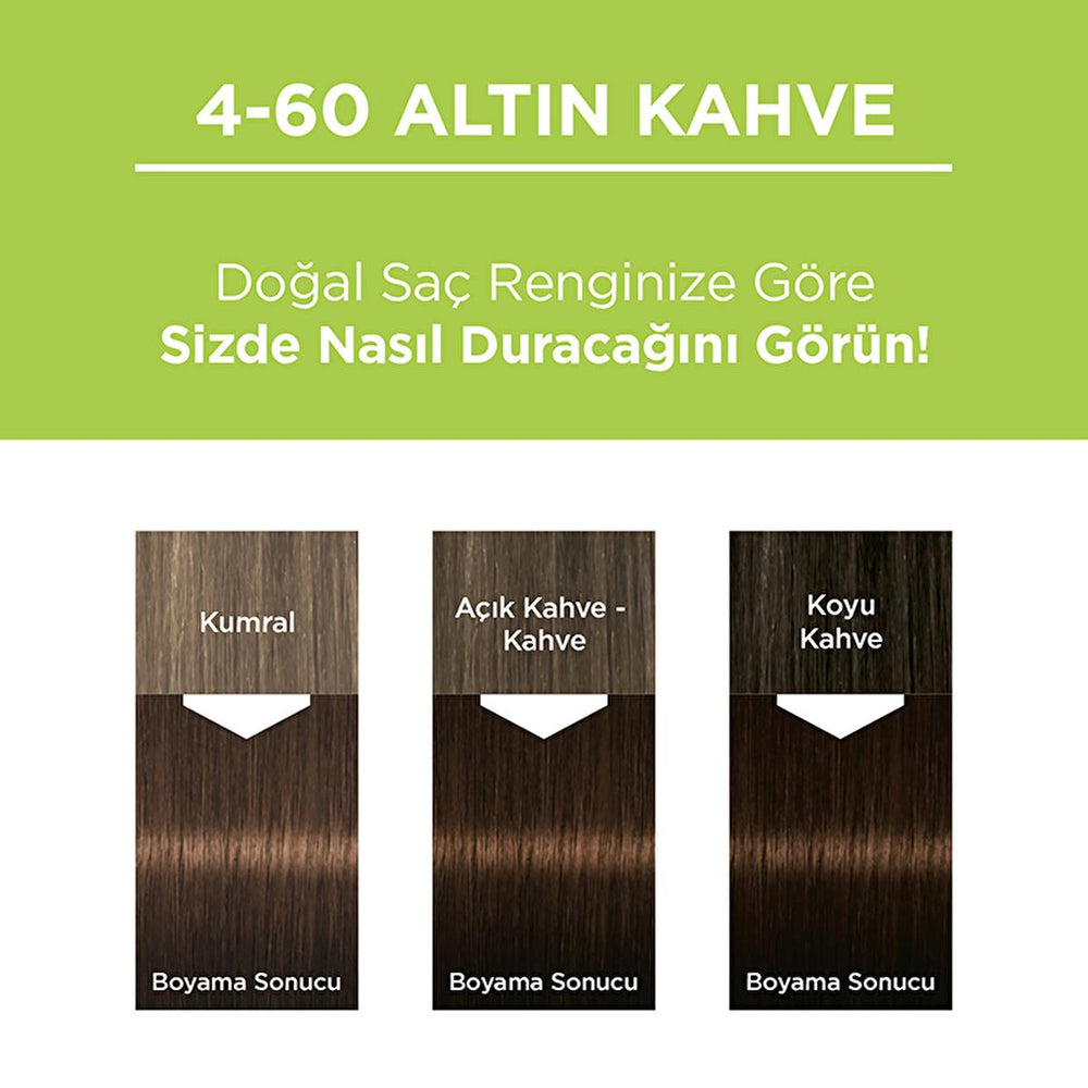 Palette Permanent Natural Color Hair Dye - 4-60 Golden Brown | 4.23 fl. oz. - view 4