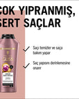 Gliss Deep Repair Shampoo for Damaged Hair - Hyaluron & Cranberry - Restore Flexibility & Vitality Gliss Deep Repair Shampoo - Damaged Hair Repair & Hydration Gliss Shampoo, Deep Repair Shampoo, Damaged Hair Repair, Hyaluron Shampoo, Cranberry Extract Shampoo, Hair Repair Shampoo, Shampoo for Damaged Hair, Serum Shampoo, Hair Flexibility Shampoo, hair shampoo, damaged hair, hair repair, hyaluron, cranberry extract, serum, hair care, hair health, hair vitality, hair hydration, hair shine, dry hair, brittle h