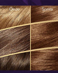 Wella Koleston Supreme 5/4 Light Chestnut Hair Dye: 100% Gray Coverage, Long Lasting Vibrant Brunette Color with Oil Elixir for Shine & Strength Wella Koleston Light Chestnut Hair Dye: Gray Coverage & Shine hair dye, hair color, permanent hair color, gray coverage hair dye, long lasting hair color, ammonia hair dye, well hair dye, wella koleston, brunette hair dye, hair color kit, hair coloring, at-home hair color, light chestnut hair dye, hair care, beauty, personal care, gray coverage, long-lasting color,