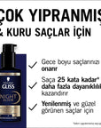 Gliss Night Elixir Repairing Night Hair Care Serum with HAPTIQ Technology - Overnight Hair Repair, Black Pearl Extract, 3.38 fl oz Gliss Night Elixir Hair Serum for Damaged Hair Repair Gliss Night Elixir, Repairing Night Hair Care Serum, HAPTIQ System Technology, Damaged hair repair, Black Pearl Extract hair care, Overnight hair serum, Hair Care Serum, Hair repair products, Hair nourishment, Dry hair care, Damaged hair solution