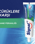Signal Anti-Cavity Toothpaste with Pro-Fluoride Complex & Long-Lasting Freshness - 3.38 fl oz Signal Anti-Cavity Toothpaste with Pro-Fluoride Complex Signal Toothpaste, Anti-Cavity Toothpaste, Mint Flavor Toothpaste, Toothpaste with Pro-Fluoride Complex, Long-Lasting Freshness Toothpaste, Oral Care, Dental Hygiene, Tooth Decay Prevention, Cavity Protection, Fresh Breath, Healthy Gums, Strong Teeth