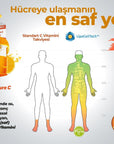 Nbt Life Lipopure C: High Absorption Liposomal Vitamin C Supplement for Enhanced Immune Support, 30 Capsules Nbt Life Liposomal Vitamin C for Superior Immune Support Liposomal Vitamin C, Vitamin C Supplement, High Absorption Vitamin C, Immune Support, Vitamin C Capsules, Nbt Life Lipopure C, Vitamin C for immune health, Liposomal C, Dietary Supplement, Immune Booster, Health Supplement, Vitamin C, Liposomes, Antioxidant, Wellness, Daily Supplement, Immune System Support, Cold and Flu Season, General Health,