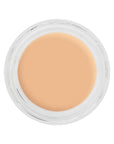 Kryolan Digital Complexion Cream Foundation O15 12g