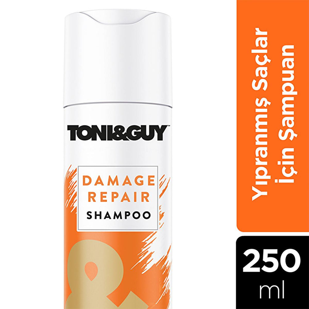 Toni&Guy Shampoo for Damaged Hair - Gentle, Non-Greasy Cleansing & Volume Boost - 250ml - view 3