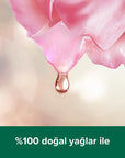 Palmolive Spa Therapy Clay & Rose Oil Body Wash: Rejuvenate & Detoxify | Natural, Gentle Cleanser (500ml / 16.9 oz) Palmolive Clay & Rose Body Wash: Spa Therapy at Home Palmolive body wash, clay body wash, rose oil body wash, natural body wash, rejuvenating body wash, spa therapy body wash, 500ml body wash, bath and shower gel, gentle skin cleanser, body wash, clay, rose oil, natural ingredients, spa therapy, rejuvenation, moisturizing, cleansing, skincare, bath products, shower gel, beauty, personal care,