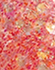Mov Glitter Lip Oil No:03 Coral for High-Shine Hydration