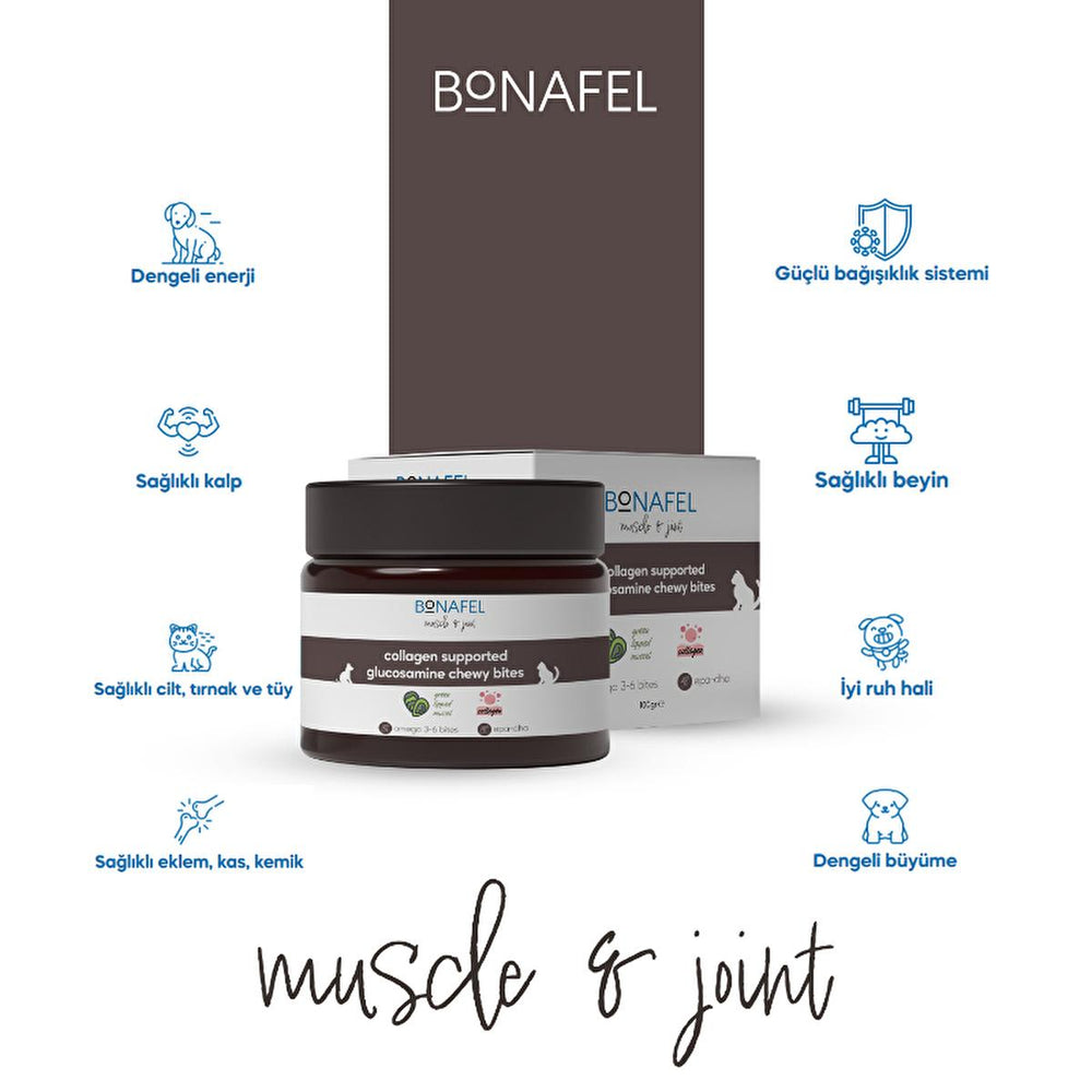Bonafel Pet Supplement for Cats & Dogs - Glucosamine & Spirulina Chewable Tablets for Joint Health - view 2