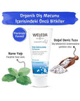 Weleda Natural Toothpaste with Sea Salt - 2.54 fl oz, Fluoride-Free, Organic Oral Care Weleda Natural Toothpaste - Fluoride-Free Oral Care natural toothpaste, fluoride-free toothpaste, organic oral care, sea salt toothpaste, natural ingredients for oral hygiene, health-conscious, environmentally aware, gentle oral care, Weleda, oral hygiene products, natural oral care products
