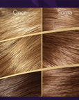 Wella Koleston Supreme Chocolate Brown Hair Dye 6/7 - Intense Color, Gray Coverage & Oil Treatment for Moisturized Hair Wella Koleston Chocolate Brown Hair Dye. Intense Color & Gray Coverage hair dye, hair color, at home hair color, chocolate brown hair dye, permanent hair color, hair coloring kit, gray hair coverage, wella koleston, hair color with oil treatment, hair coloring, brown hair dye, diy hair color, home hair color, gray coverage, hair color kit, hair color for women, hair color for gray hair, ha