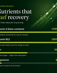 RECOVERYbits® Chlorella | Large Bag