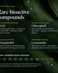 RECOVERYbits® | Small Bag