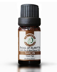 Edys Organics Cinnamon Essential Oil Warm Spicy Aroma 10 ml