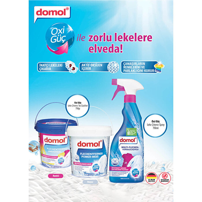 Domol Multi-Surface Cleaner Disinfectant - 25.36 fl oz | Effective Formula