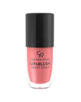 Golden Rose Velvet Touch Lip & Blush 4.5ml No:03 - Multi-use Cosmetic for Lips & Cheeks - Lipstick