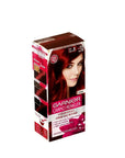 Garnier Color Sensation Hair Dye 4-60 Intense Dark Red