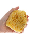 Babyjem Natural Sea Sponge for Gentle Baby Skin Care - Hypoallergenic & Organic Bathing Solution - Baby Care